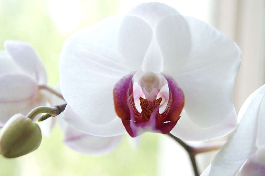 �������� ����� ����� �������  �� PhotoGeek.ru #����� #����� ��������������