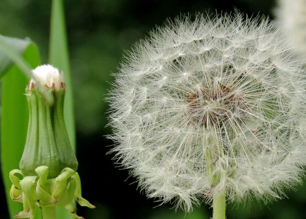 �������� � ����� ���� ����� �������  �� PhotoGeek.ru #����� ��������������