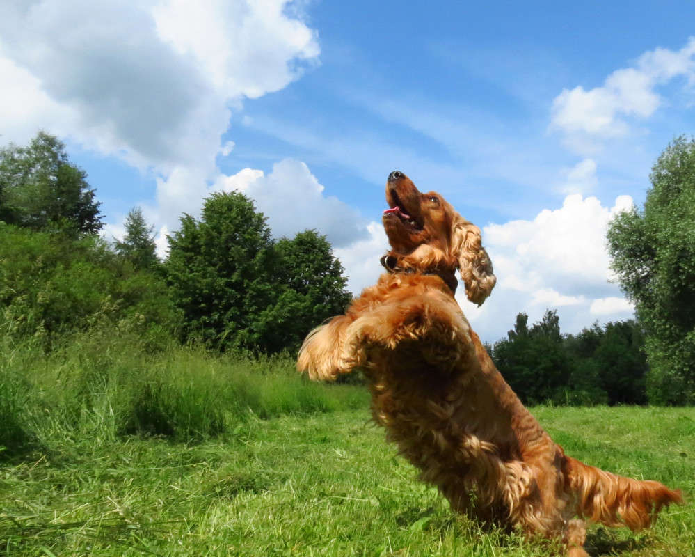 �� ������� "�������� � �������" ����� �������  �� PhotoGeek.ru #�������� ���