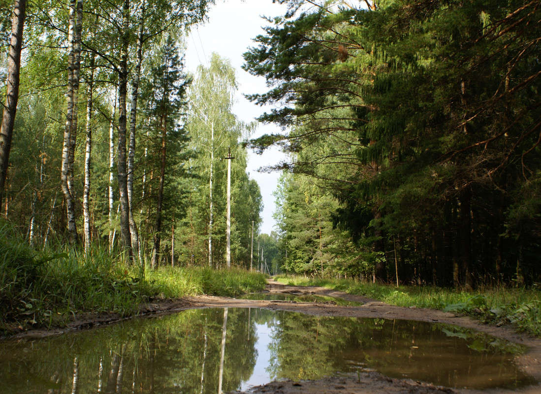 ���� ����� ��� ������ ������� ������ , ����������� � ����� ��� �� �������... ����� �������  �� PhotoGeek.ru #������ ��� �������