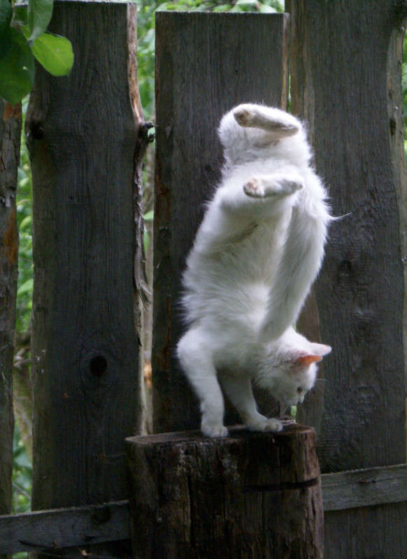 ... ����� �������  �� PhotoGeek.ru #�������� ��� #�������� ���