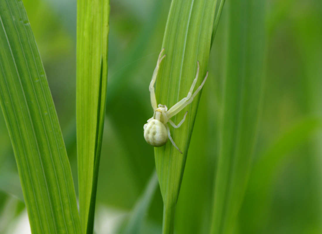 ... ����� �������  �� PhotoGeek.ru #�����