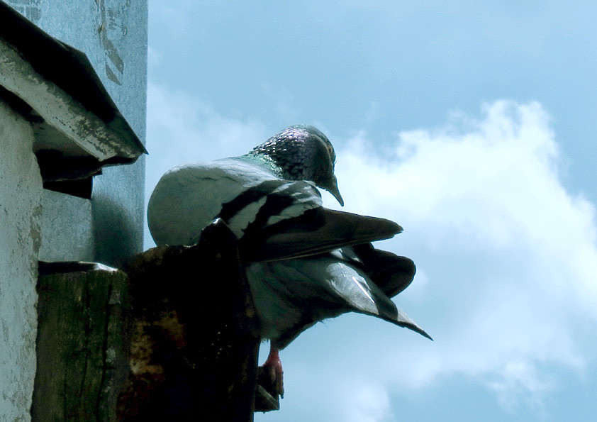 ... ����� �������  �� PhotoGeek.ru #�������� ���