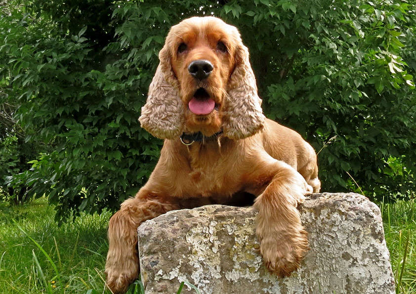 �� �� ��� ������ ���������? ����� �������  �� PhotoGeek.ru #������ ���� ��������������