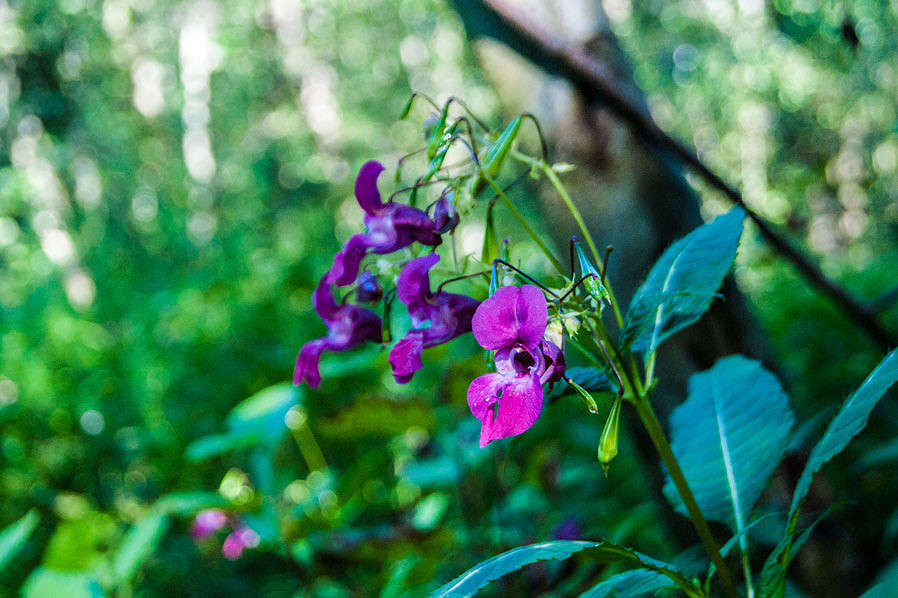 �� ������ �� ������� ����� ������ �������� ����� �������  �� PhotoGeek.ru #������ ��� �������