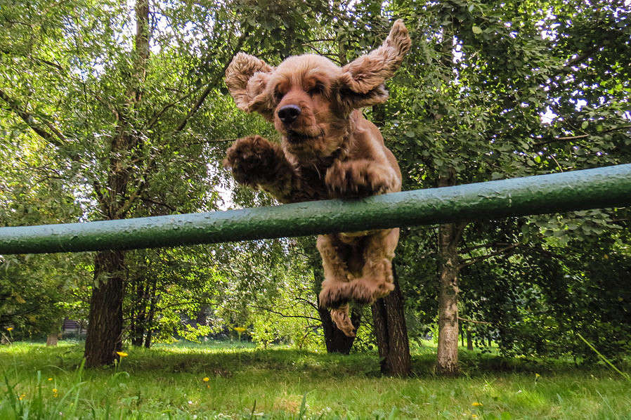 ... ����� �������  �� PhotoGeek.ru #�������� ��� #�������� ���������� #�������� ���