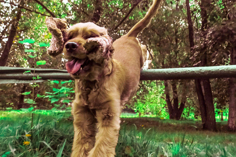 ... ����� �������  �� PhotoGeek.ru #�������� ��� #�������� ���������� #�������� ���