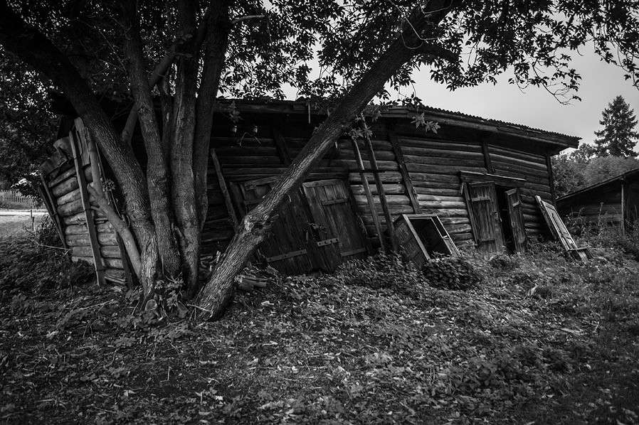 ����� ��� � 1946���� ����� �������  �� PhotoGeek.ru #�����������