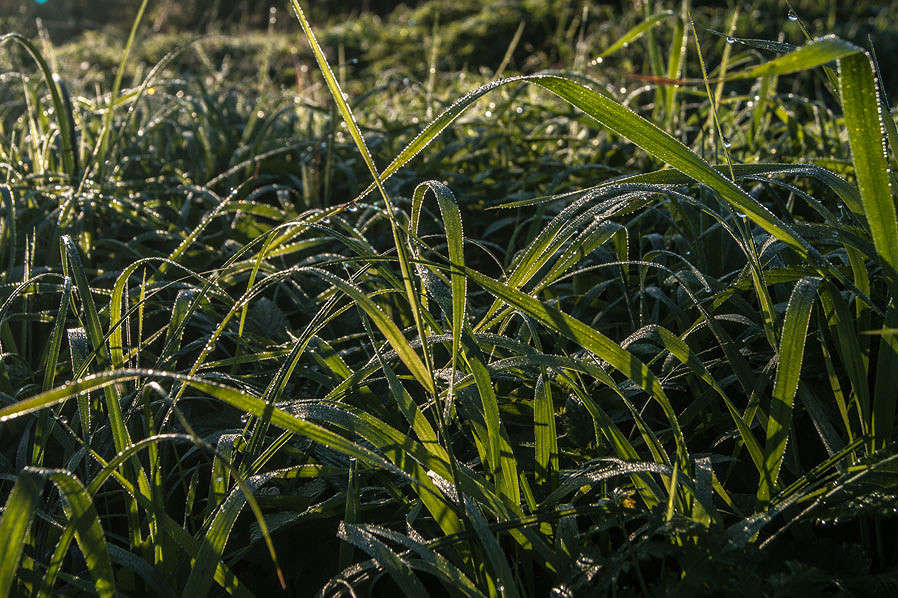 ���� ����� ����� �������  �� PhotoGeek.ru #������ ��� �������