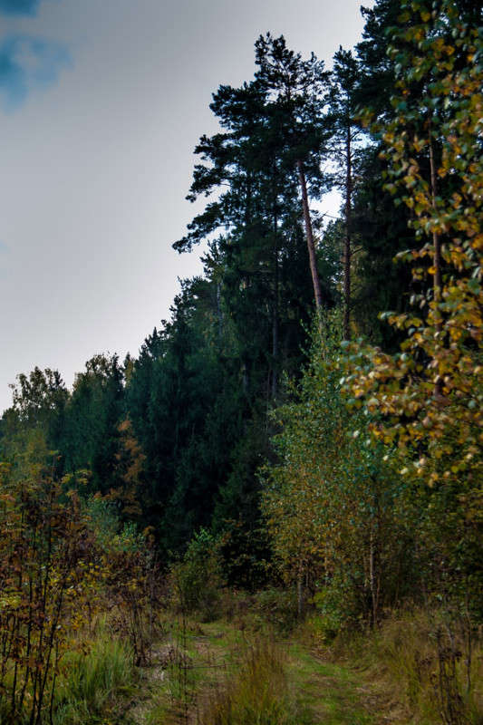 ... ����� �������  �� PhotoGeek.ru #������ ��� �������