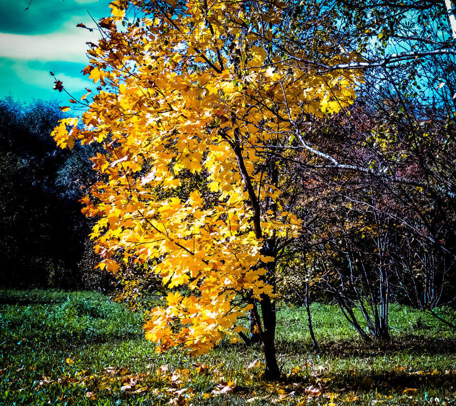 ������� ��������� ����� �������  �� PhotoGeek.ru #������ ��� ������� #����� �������������� #���������