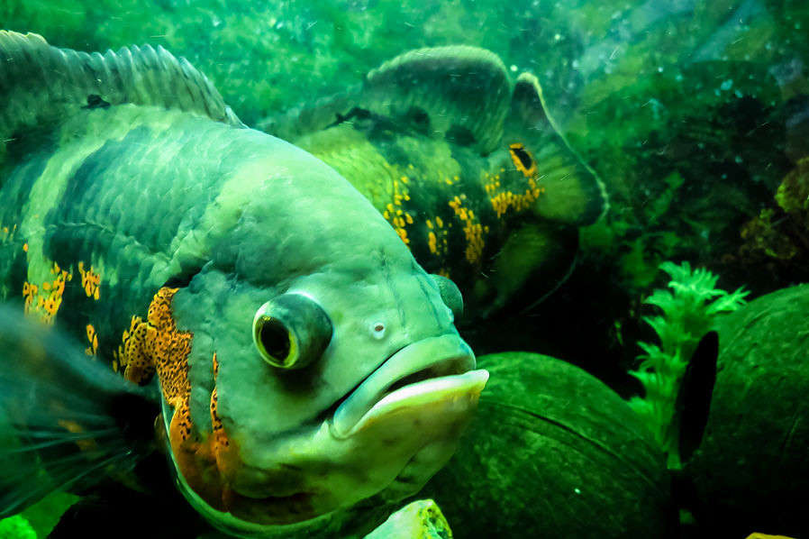 ... ����� �������  �� PhotoGeek.ru #�������� ��� #�������� ���