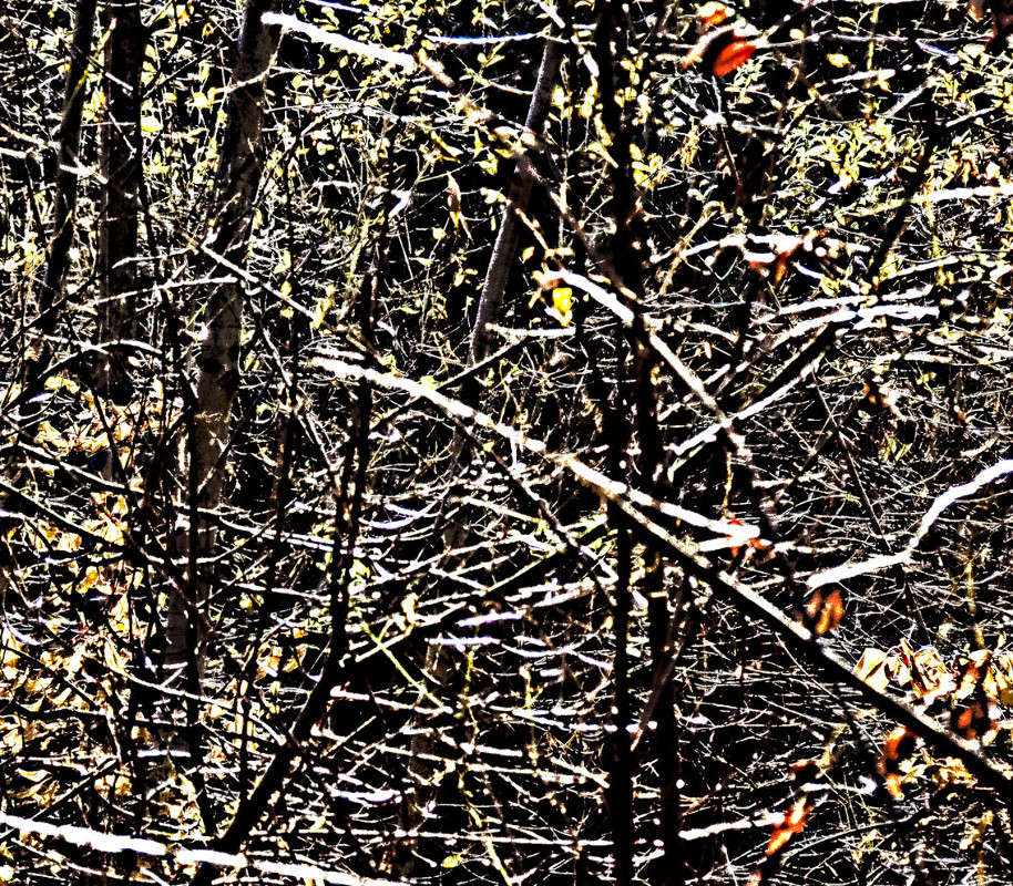 ... ����� �������  �� PhotoGeek.ru #������ ��� �������