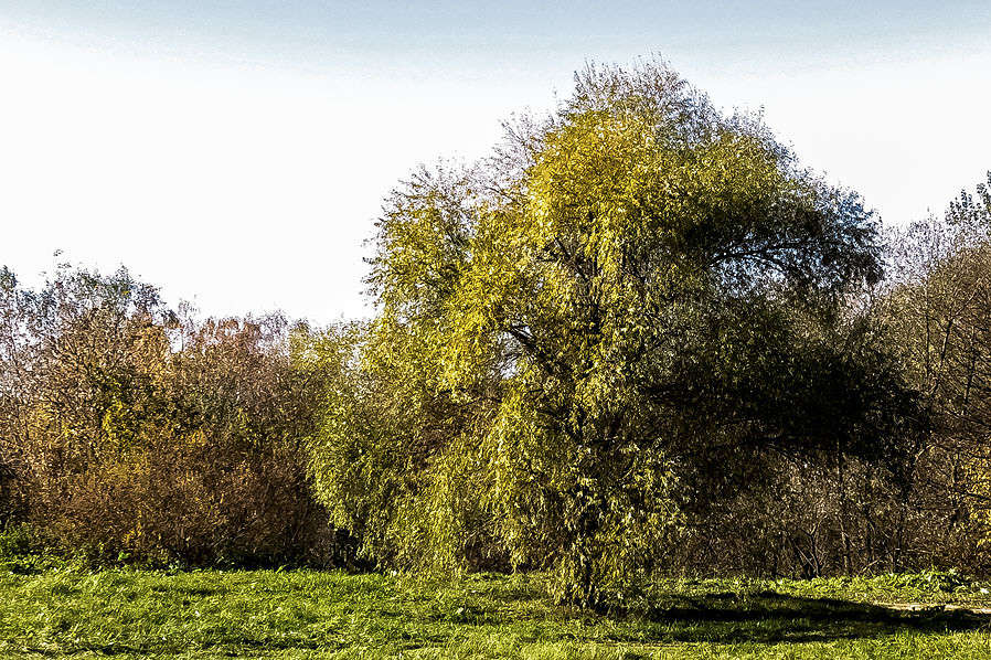 ... ����� �������  �� PhotoGeek.ru #������ ��� ������� #���������