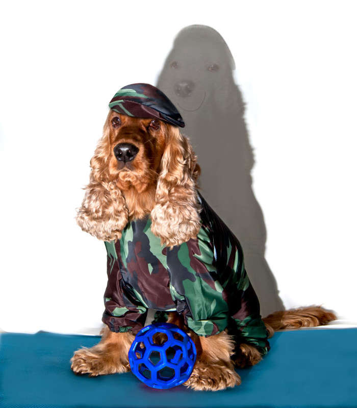 ... ����� �������  �� PhotoGeek.ru #������� #�������� #������