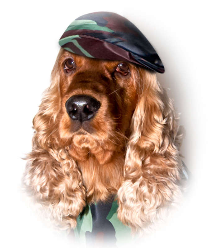 ... ����� �������  �� PhotoGeek.ru #������� #�������� #������