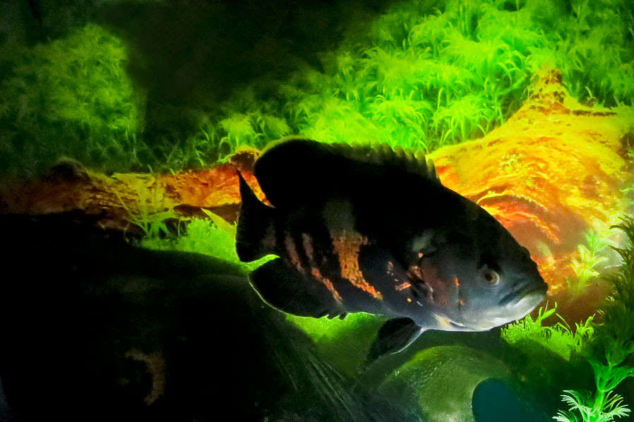 ... ����� �������  �� PhotoGeek.ru #�������� ��� #�������� ���