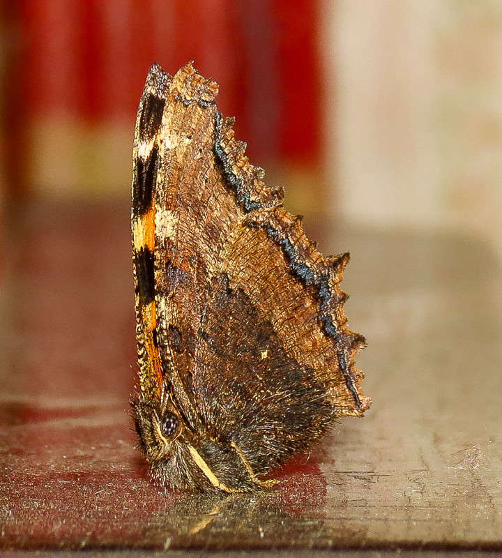 � ���������� ����� �������  �� PhotoGeek.ru #�����