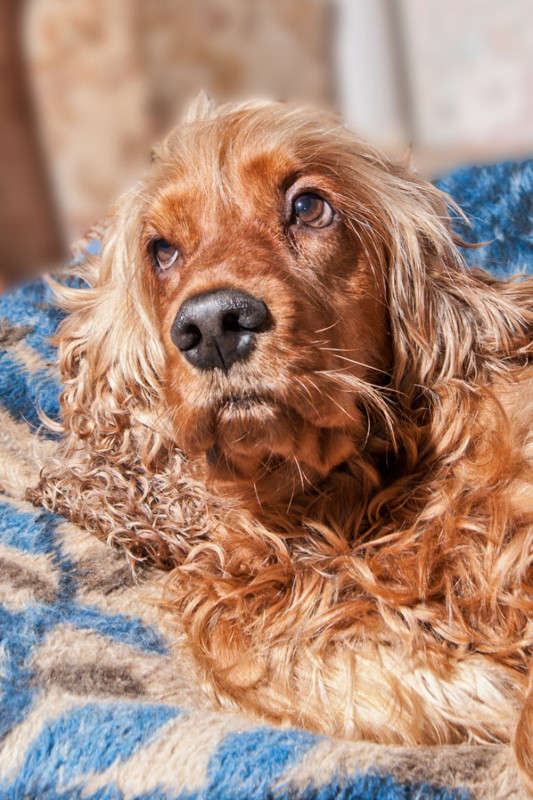 ... ����� �������  �� PhotoGeek.ru #�������� ��� #�������