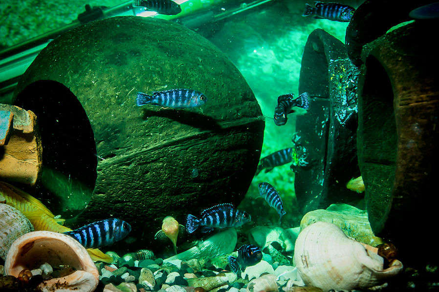 ... ����� �������  �� PhotoGeek.ru #�������� ���