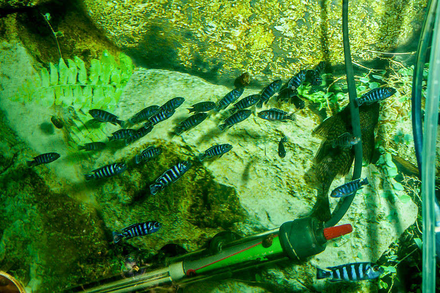 ... ����� �������  �� PhotoGeek.ru #�������� ���