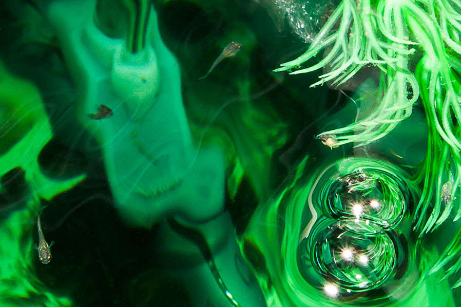 ... ����� �������  �� PhotoGeek.ru #�������� ���