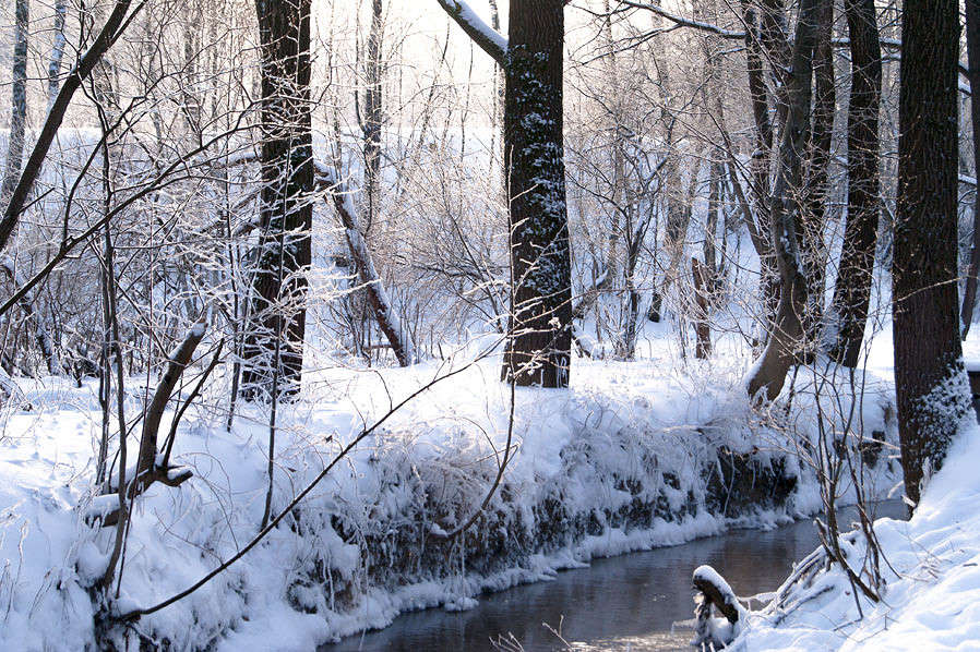 �� ������� "������ ���������" ����� �������  �� PhotoGeek.ru #������ ��� �������