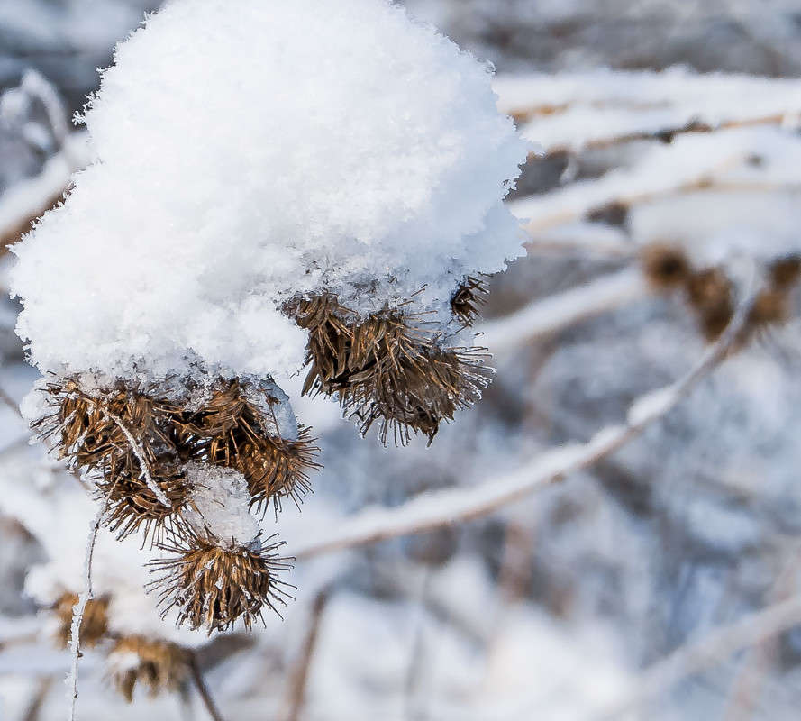 �� ������� "������ ���������" ����� �������  �� PhotoGeek.ru #������ ��� �������