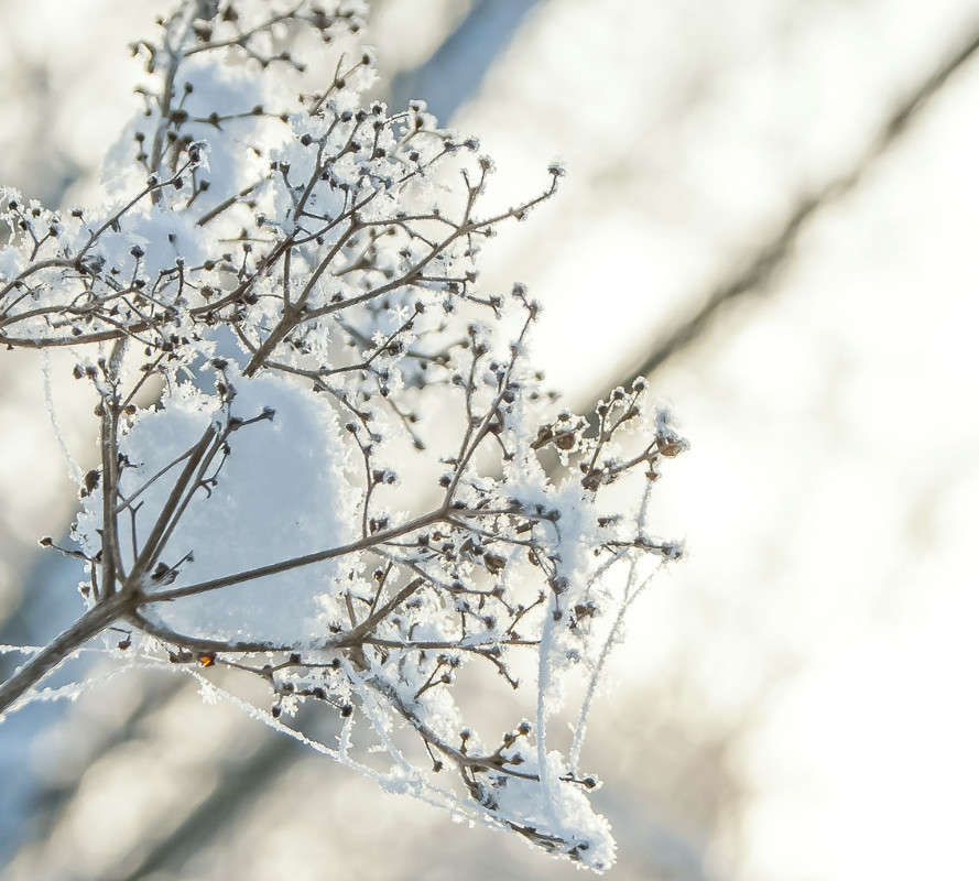 �� ������� "������ ���������" ����� �������  �� PhotoGeek.ru #������ ��� �������