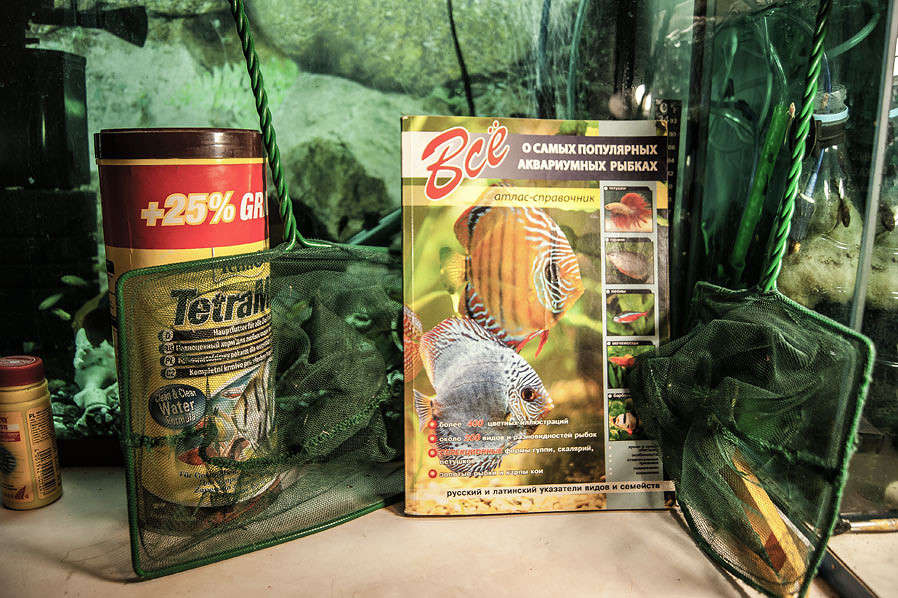 ... ����� �������  �� PhotoGeek.ru #���������