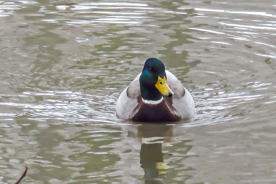 ... ����� �������  �� PhotoGeek.ru #�������� ��� #������ ��� �������