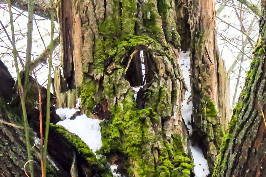 ... ����� �������  �� PhotoGeek.ru #������ ��� �������