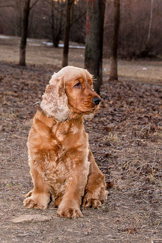 ... ����� �������  �� PhotoGeek.ru #�������� ��� #������ ��� ������� #������� #�������� ��� #��������