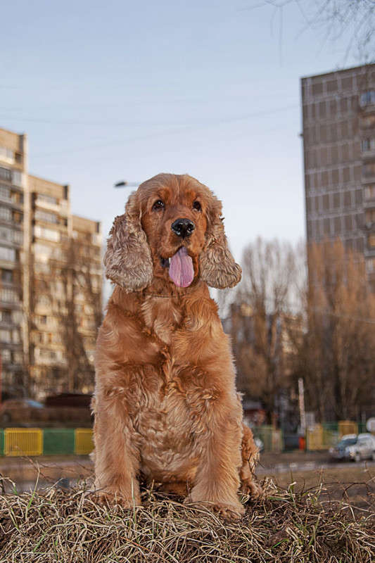 ... ����� �������  �� PhotoGeek.ru #����� #�������� ��� #������� #�������� ��� #��������