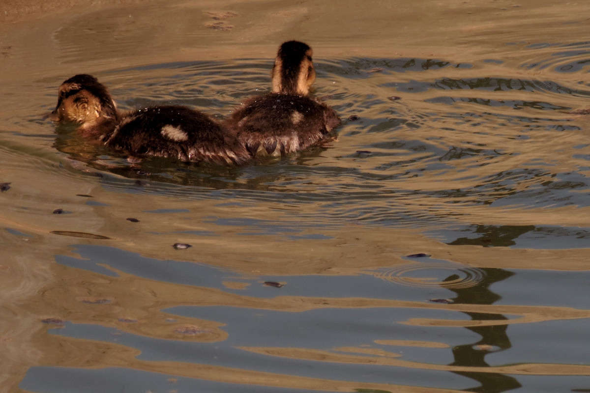 ... ����� �������  �� PhotoGeek.ru #����� #�������� ���