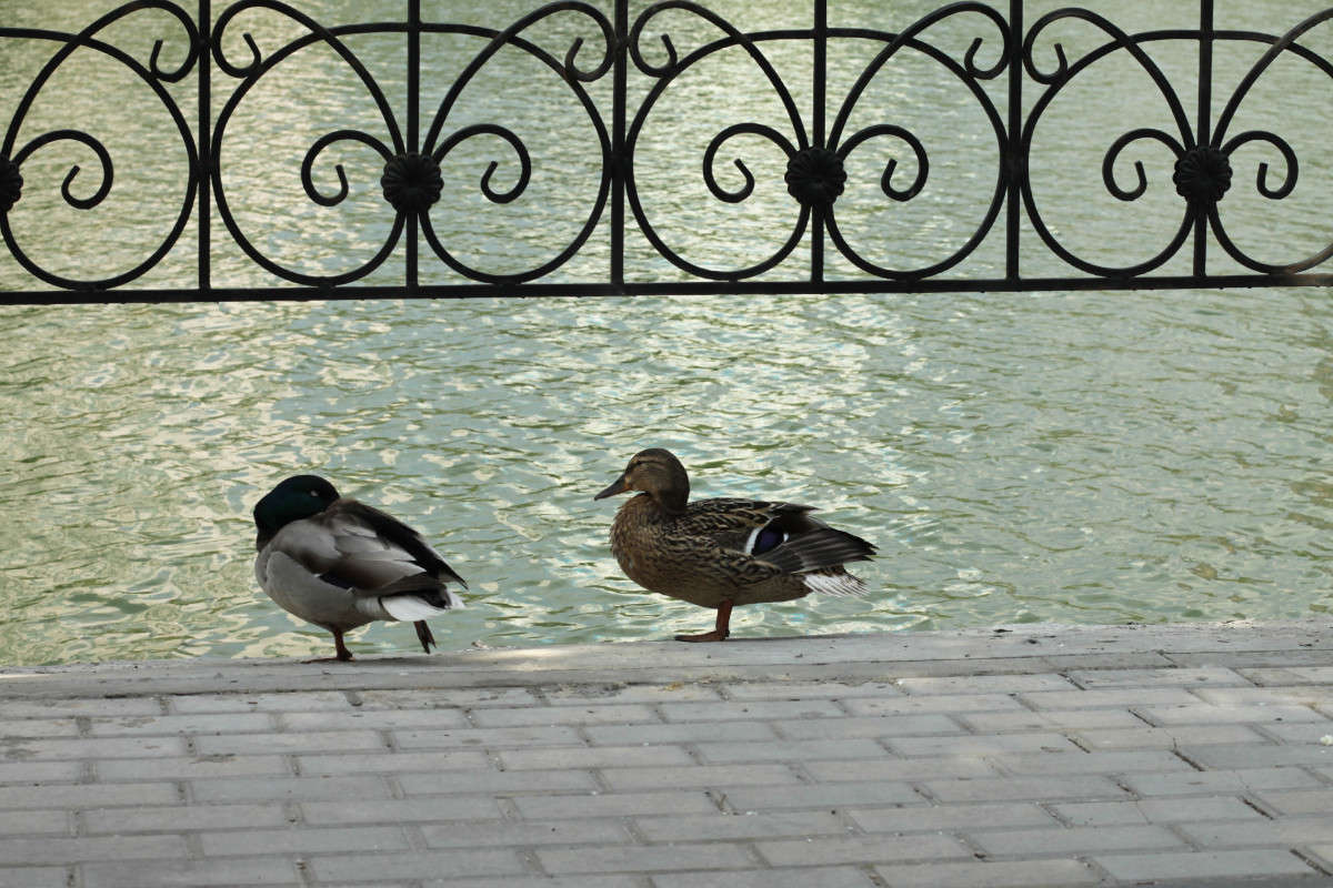 ... ����� �������  �� PhotoGeek.ru #����� #�������� ���