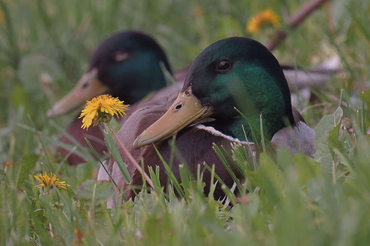 ... ����� �������  �� PhotoGeek.ru #����� #�������� ���