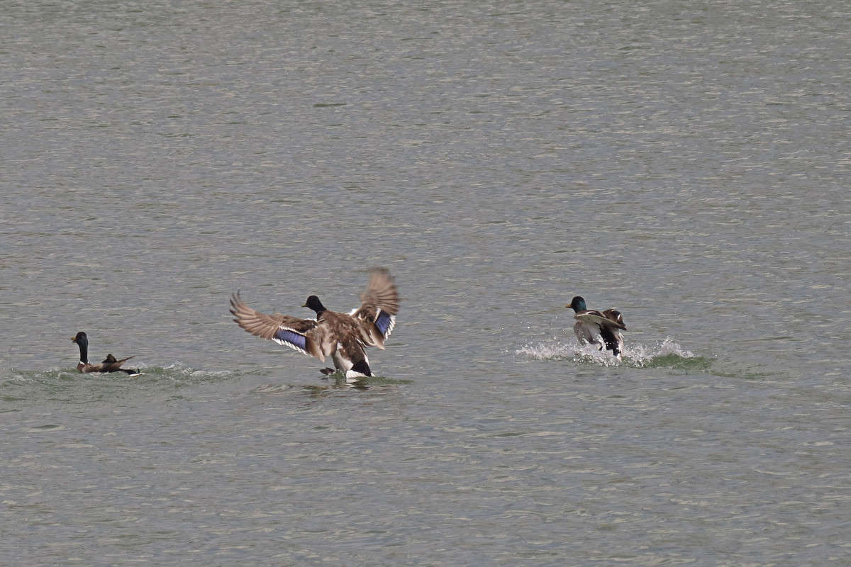 ... ����� �������  �� PhotoGeek.ru #����� #�������� ���