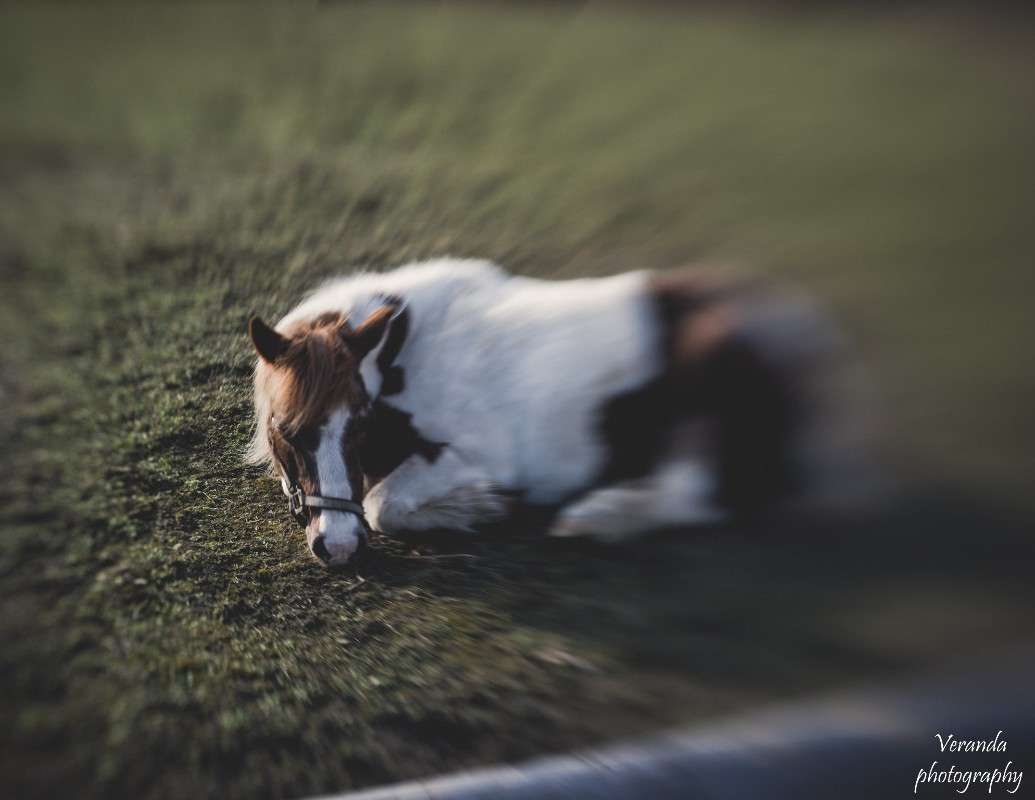 ��������� ������� ����� �������  �� PhotoGeek.ru #�������� ��� #�������� ���