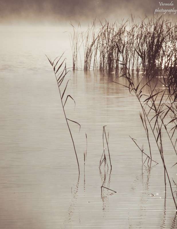 6 ���� ����� �������  �� PhotoGeek.ru #������ ��� ������� #����� �������������� #���������