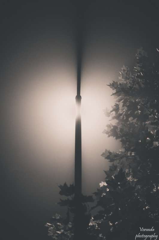 ���� � ������ ����� �������  �� PhotoGeek.ru #����� #��������� ������