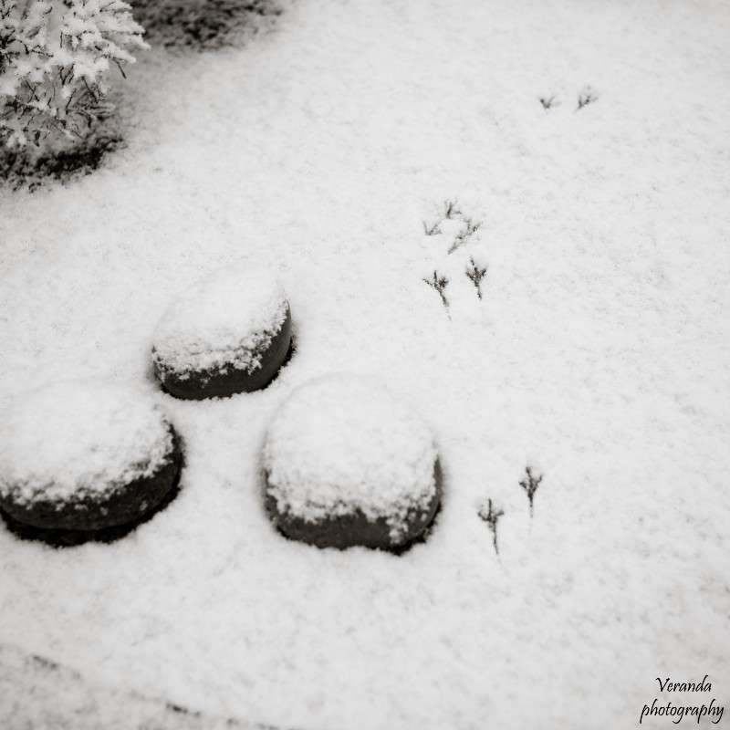 ���� ����� �������  �� PhotoGeek.ru #�������� ��� #������ ��� ������� #��������� #�����-�����