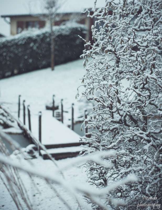 ������ ���� ����� �������  �� PhotoGeek.ru #������ ��� ������� #��������� #����� ��������