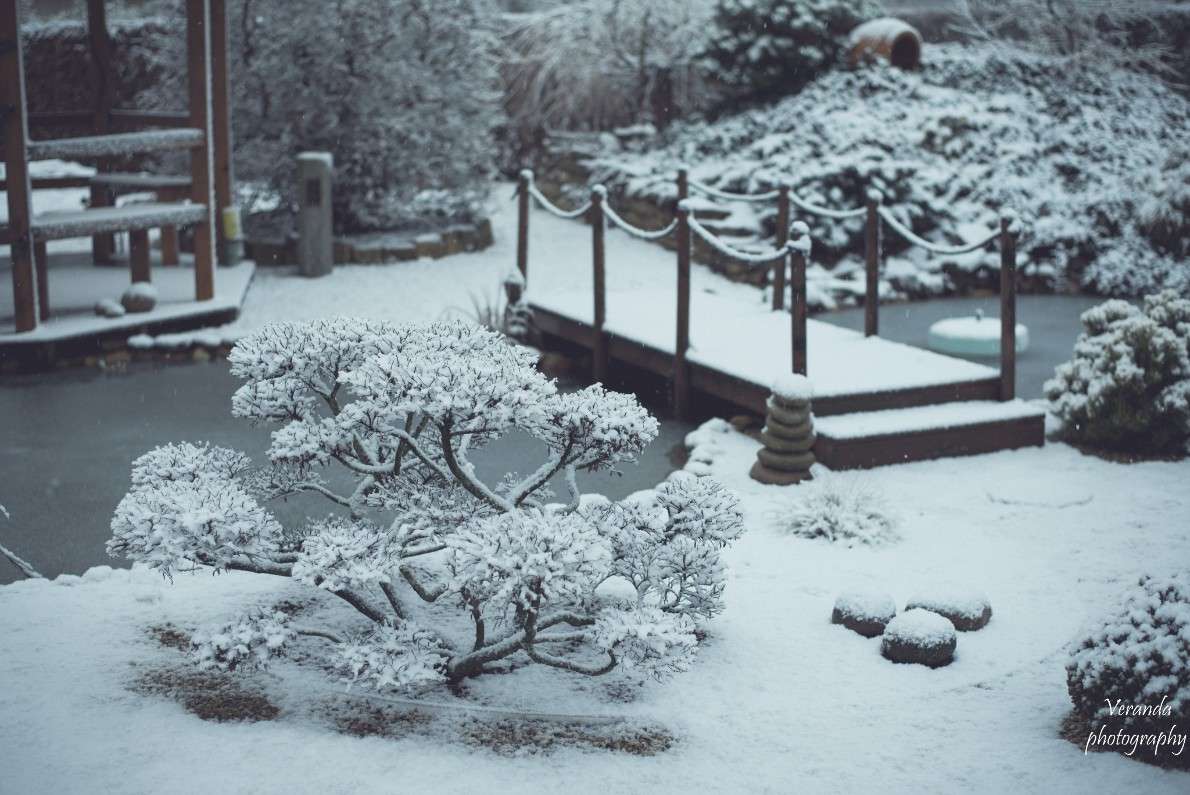 �������� ����� �������  �� PhotoGeek.ru #������ ��� ������� #���������