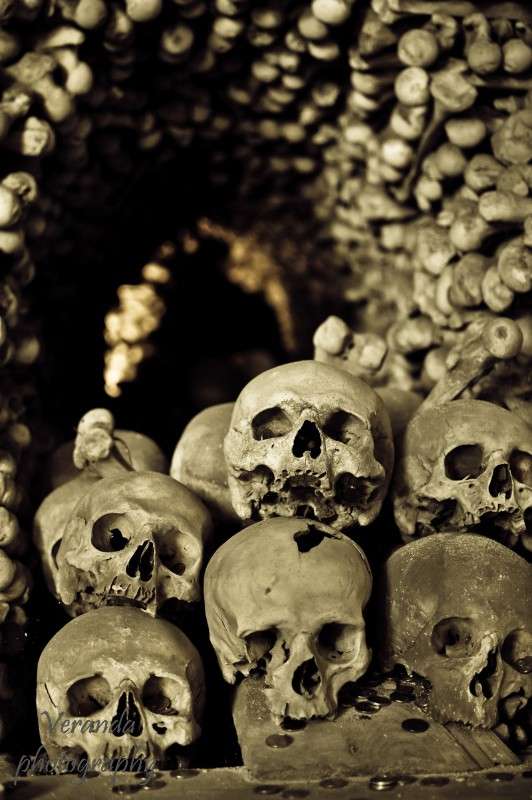 �������� ����� �������  �� PhotoGeek.ru #����� #����������� #������ ����