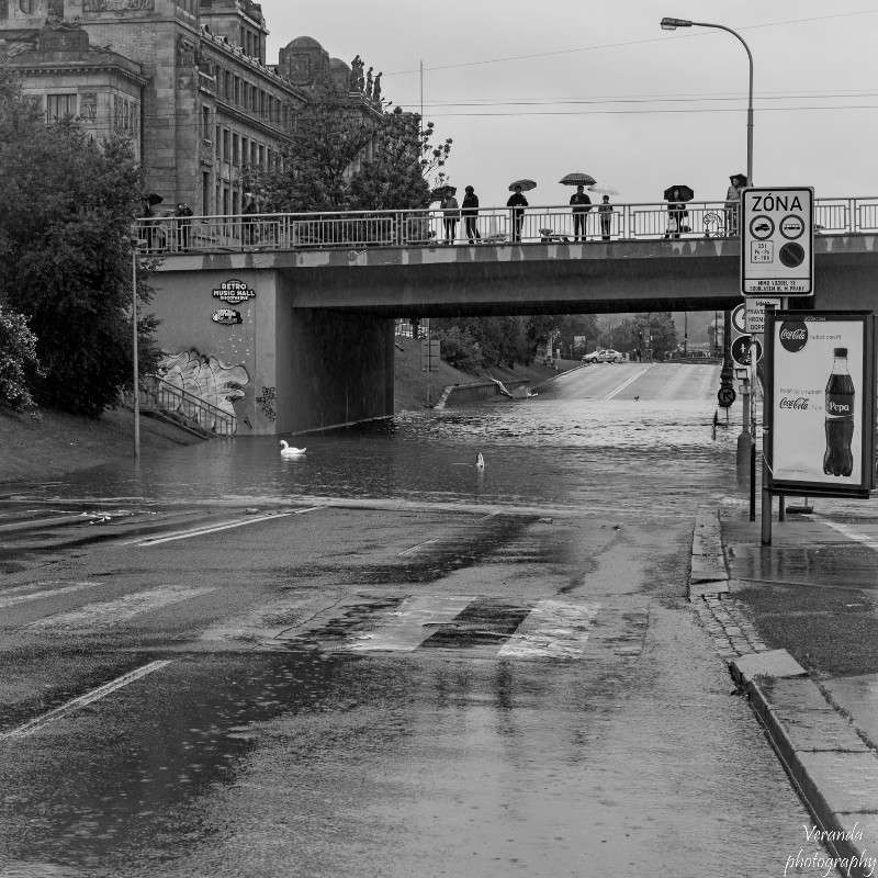 ��� �� ����� - ��� ���������� ���������� ��� ������������� ����� �������  �� PhotoGeek.ru #������� #����� #�������� #��������� ������