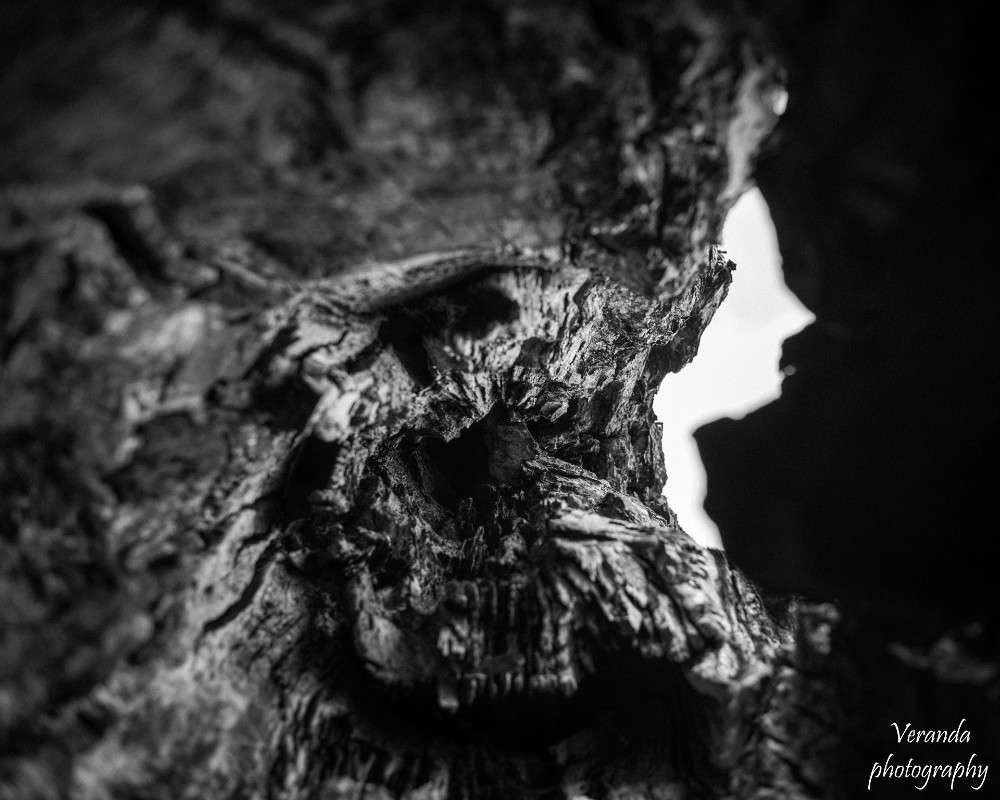 ������� ������ ����� �������  �� PhotoGeek.ru #������ ��� ������� #������� #���-�����������