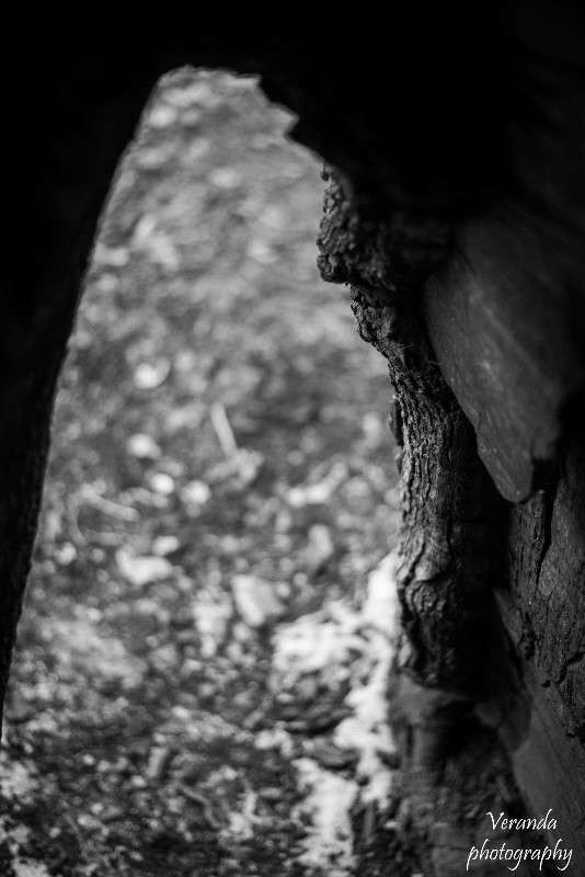 ... ����� �������  �� PhotoGeek.ru #������ ��� ������� #���������