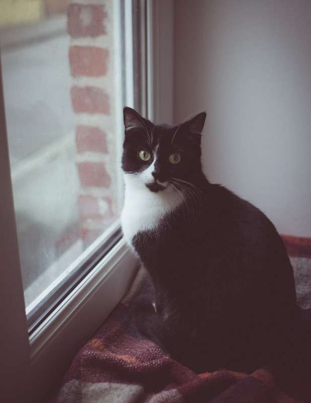 ����� ����� ����� �������  �� PhotoGeek.ru #�������� ��� #������� #�������� ���