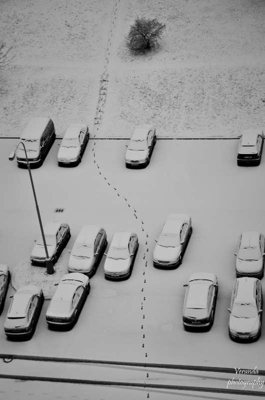 ������ ������� ����� �������  �� PhotoGeek.ru #����� #������ ��� ������� #�����-�����